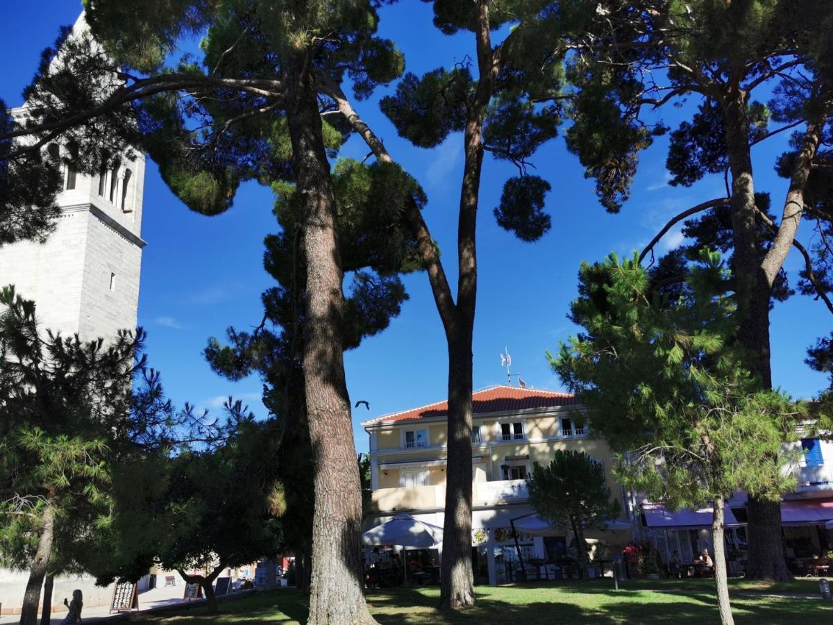 Emily Deluxe Superior 5 Star Studio Apartment, Your Piece Of Heaven With Sea & Park View Novigrad Istria Kültér fotó