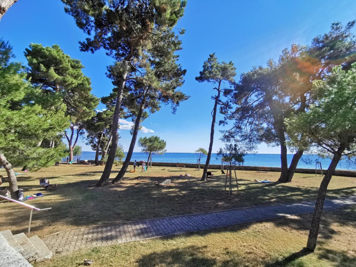 Emily Deluxe Superior 5 Star Studio Apartment, Your Piece Of Heaven With Sea & Park View Novigrad Istria Kültér fotó